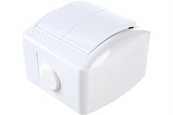 Выключатель LEZARD Ната 710-0200-101, двухклавишный, накладной, белый 814