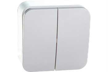 Выключатель SYSTEM ELECTRIC Blanca ВLNVA065011, двухклавишный, накладной, белый 41378