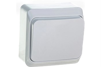Выключатель SYSTEM ELECTRIC Этюд ВА10-001В, одноклавишный, накладной, белый 64201 - фото 102436