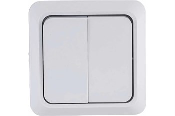 Выключатель TDM Ладога SQ1801-0003, двухклавишный, накладной, белый 33085 - фото 102458