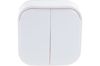 Выключатель IONICH 1413, двухклавишный, накладной, белый 67618