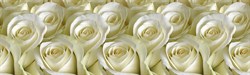 Фартук кухонный Белые розы, 3000х600х1.5мм, пластик АВС, термопечать - фото 36862