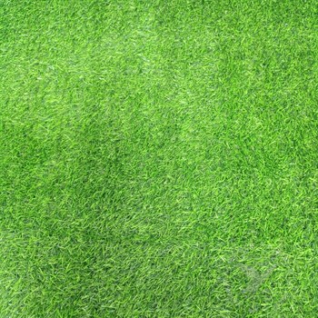 Трава искусственная Флорис YY2.0, 1.2м, ворс 23мм, зеленая, в рулоне 15м, на метраж - фото 76819