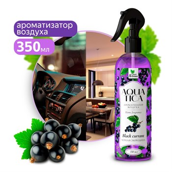 Ароматизатор воздуха Черная смородина Clean&Green CG8269, жидкий, 250мл, триггер 85017 - фото 97736