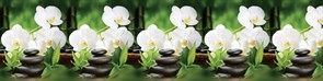 Фартук кухонный Белая орхидея, 3000х600х1.5мм, пластик АВС, термопечать