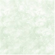 Плитка  потолочная экструзионная Лагом декор Формат 4602, 50x50см, пенополистирол, зеленая, упаковка 8шт. (2м2)