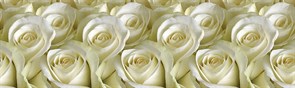 Фартук кухонный Белые розы, 3000х600х1.5мм, пластик АВС, термопечать