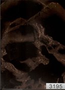 Пленка самоклеящаяся 3195, 450ммх8м, мрамор черный с позолотой