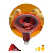Лампа накаливания ИКЗК 220-225-250 R127, 250Вт, цоколь Е27, инфракрасная