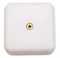 Коробка распределительная ЭРА BS-W-100-100-30, для открытой проводки, 100x100x30мм, для кабель-канала, белая 87836