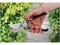 Секатор STARTUL GARDEN ST6410-04, 210мм, максимальный диаметр реза 20мм, плоскостной 85496