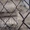 Сетка-рабица плетеная, ячейка 55x55, диаметр проволоки 1.4мм, 1.5x10м, оцинкованная, рулон 57721 - фото 36268
