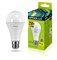 Лампа светодиодная Ergolux LED-A60-25W-E27-3K, 25Вт, 220В, цоколь Е27, 3000К - фото 58556