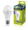 Лампа светодиодная Ergolux LED-A60-15W-E27-3K, 15Вт, 220В, цоколь Е27, 3000К - фото 58560