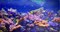 Фартук-панно ПВХ Коралловый риф, 1002х602х5мм - фото 60136