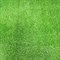 Трава искусственная Флорис YY2.0, 1.2м, ворс 23мм, зеленая, в рулоне 15м, на метраж - фото 76819